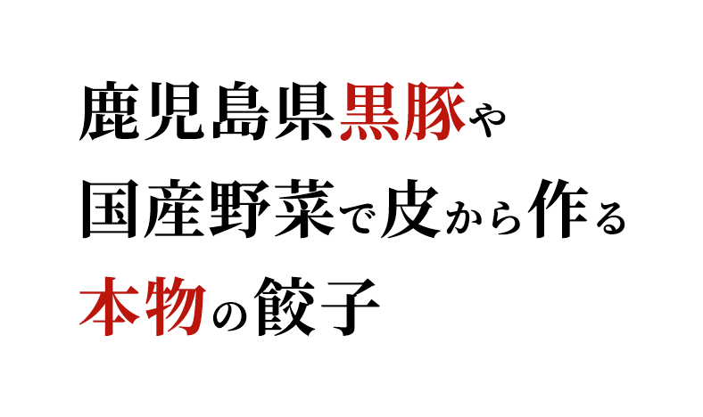 厳選素材で皮から作る本物の餃子